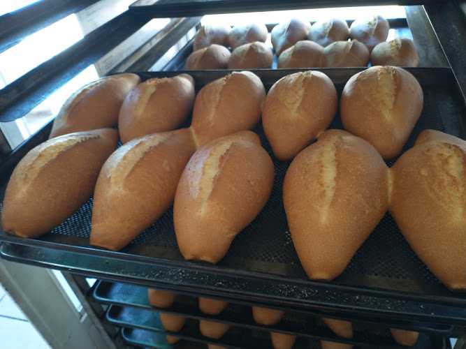 Fotografia tomada fuera de Panaderia Chavez - Panadería en Valle de Juárez, Jal.