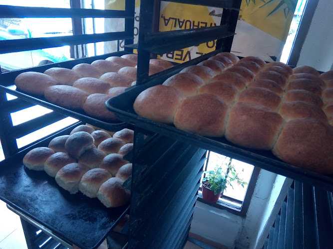 Fotografia tomada fuera de Pan de Pulque El Magueyal - Panadería en San Luis Potosí, S.L.P.