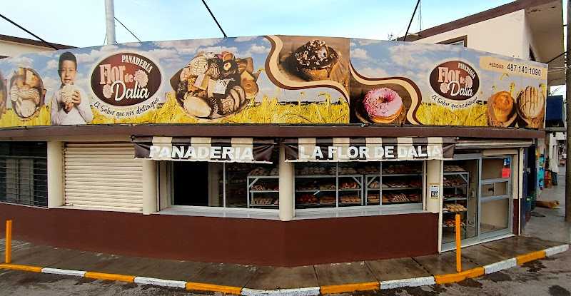 Fotografia tomada fuera de Panadería Flor de Dalia - Panadería en Cdad. Fernández, S.L.P.
