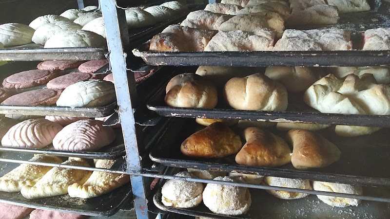 Fotografia tomada fuera de PANADERIA AYALA - Panadería en Pastor Ortiz, Mich.