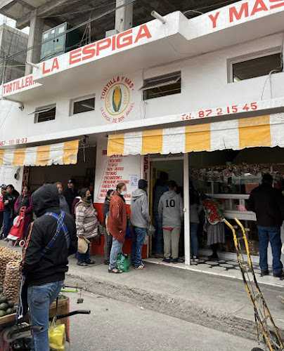 Fotografia tomada fuera de Tortilleria la Espiga - Bakery en Rioverde, S.L.P.