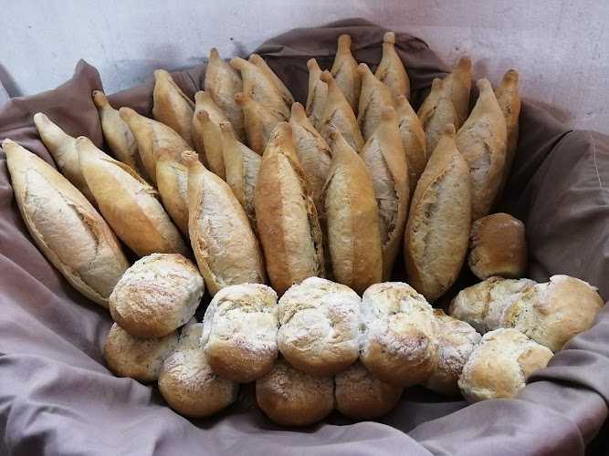 Fotografia tomada fuera de Panaderia & Biroteria Gonzalez - Panadería en Zapopan, Jal.