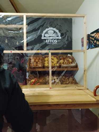 Fotografia tomada fuera de PANADERIA ARTESANAL LITOS - Panadería en Ixtlán de Juárez, Oax.